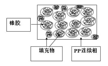 A11图片2