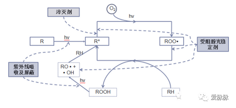 A61图片5.png